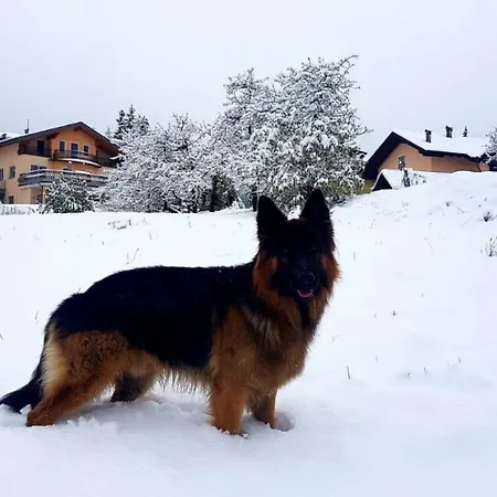 Dolce Sogno